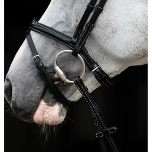 Combined riding bridle and noseband HFI Merano image-3