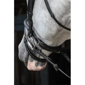 Combined riding bridle and noseband HFI Merano image-4