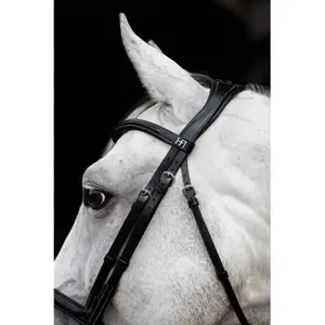 Combined riding bridle and noseband HFI Merano image-5