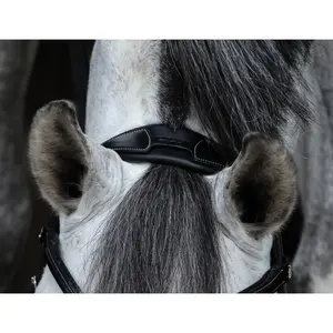 Combined riding bridle and noseband HFI Merano image-6