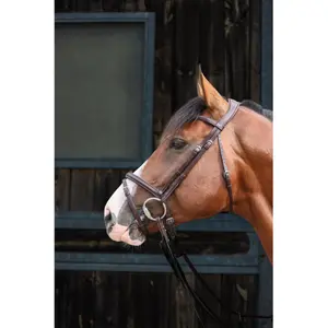 Bridon équitation muserolle combinée HFI Merano