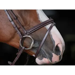 Bridon équitation muserolle combinée HFI Merano image-3