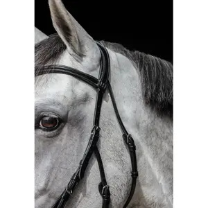 Hackamore voor paard HFI Monopoli image-1