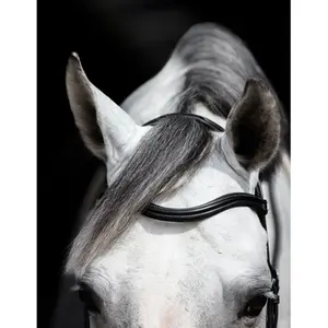 Hackamore voor paard HFI Monopoli image-4