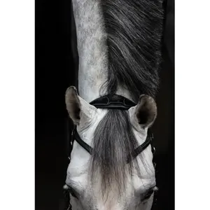 Hackamore voor paard HFI Monopoli image-5