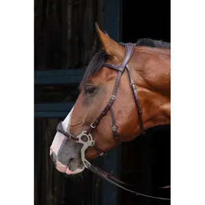 Hackamore voor paard HFI Monopoli