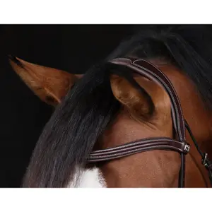 Hackamore voor paard HFI Monopoli image-1