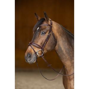 hfipl200brc-bridon-equitation-anatomique-pull-back-hfi-pro-line-verona-brun-or