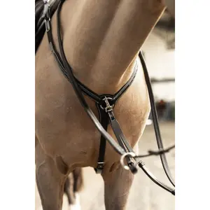 Collier de chasse pour cheval HFI Pro Line Arezzo image-1