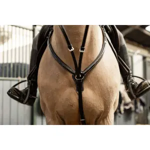 Collier de chasse pour cheval HFI Pro Line Arezzo image-2