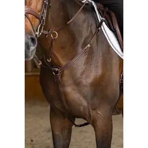 Collier de chasse pour cheval HFI Pro Line Arezzo image-1