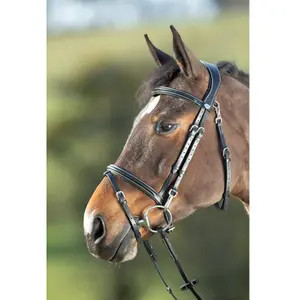 Riding bridles HFI Functional image-1