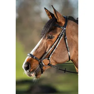 Riding bridles HFI German image-0