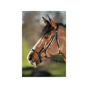 Bridas de equitación HFI German image-0