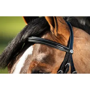 Riding bridles HFI German image-1