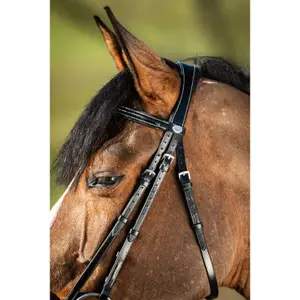 Riding bridles HFI German image-2