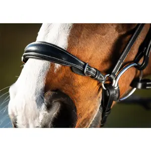 Riding bridles HFI German image-3