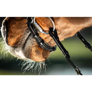 Riding bridles HFI German image-4