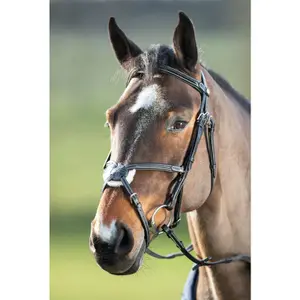 Riding bridles HFI Mexican