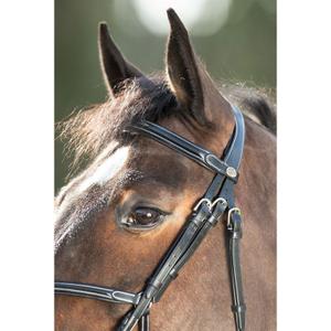 Riding bridles HFI Mexican image-3