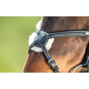 Riding bridles HFI Mexican image-2