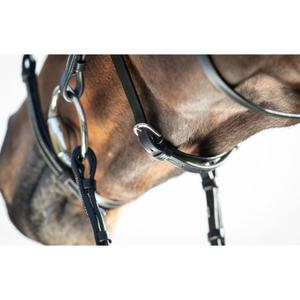 Riding bridles HFI Mexican image-4