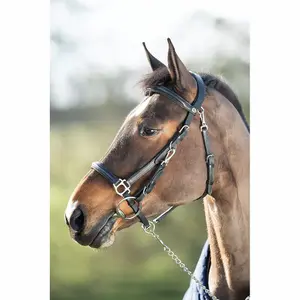 Ridetrøjer HFI Combo image-0