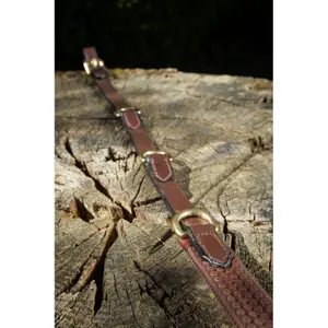 Teugels voor paardrijden met ringen HFI Thiedeman image-0