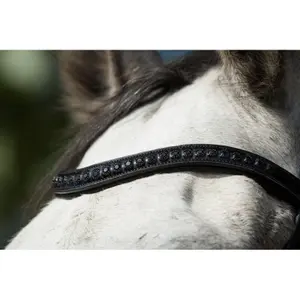 Riding bridles HFI Luxe image-2