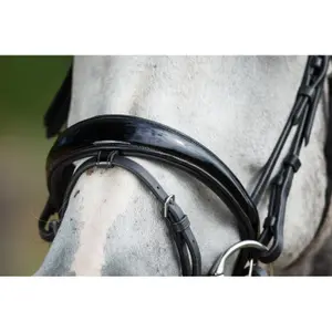 Riding bridles HFI Luxe image-3