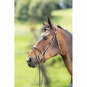 Riding bridles HFI Technical image-1