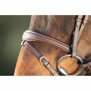 Riding bridles HFI Technical image-2