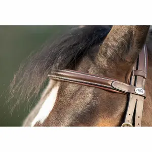 Riding bridles HFI Technical image-3