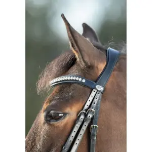 Riding bridles HFI Shiny image-1