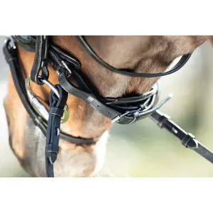 Riding bridles HFI Shiny image-3