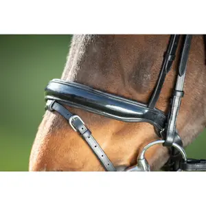 Riding bridles HFI Shiny image-2