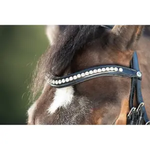 Riding bridles HFI Shiny image-4