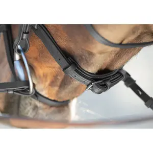 Riding bridles HFI Soft image-2
