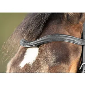 Riding bridles HFI Soft image-3