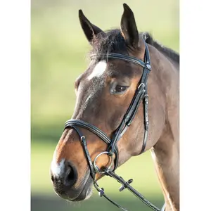 Riding bridles HFI Comfort image-1