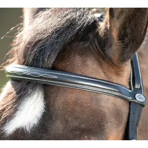 Riding bridles HFI Comfort image-2