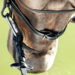Riding bridles HFI Comfort image-4