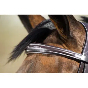 Riding bridles HFI Elegant image-2
