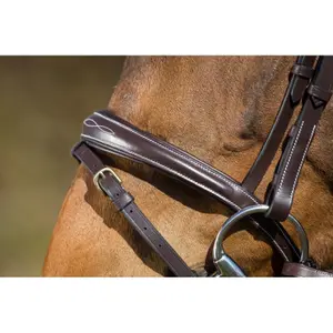 Riding bridles HFI Elegant image-4