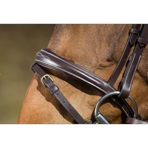 Riding bridles HFI Elegant image-2