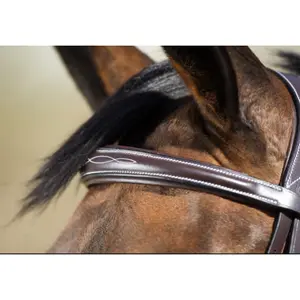 Riding bridles HFI Elegant image-3