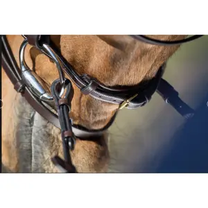Riding bridles HFI Elegant image-1