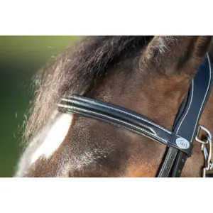 Träns för ridning HFI Functional image-1