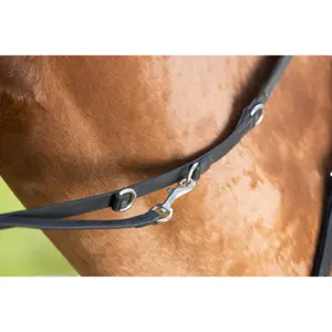 Rênes pour cheval équitation à anneaux HFI Thiedeman image-1