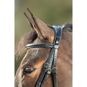 Riding bridles HFI Technical image-1